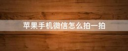 苹果手机微信怎么拍一拍 苹果手机微信怎么拍一拍好友聊天内容