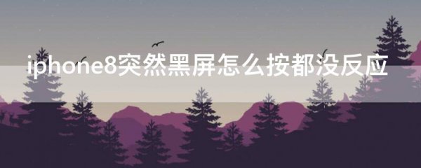 iphone8突然黑屏怎么按都没反应