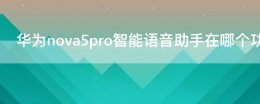 华为nova 5i 语音助手在哪里? 华为nova5pro智能语音助手在哪个功能里
