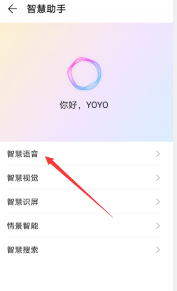华为nova5pro智能语音助手在哪个功能里