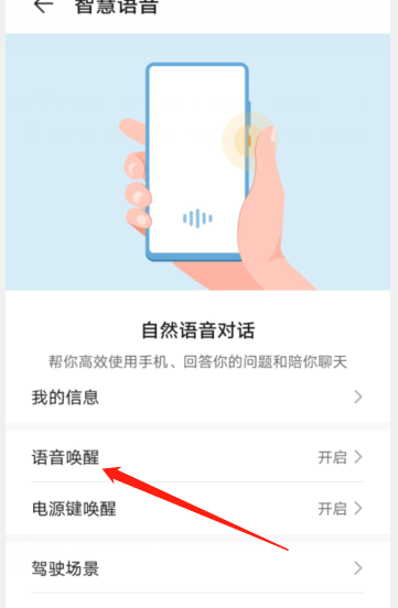 华为nova5pro智能语音助手在哪个功能里