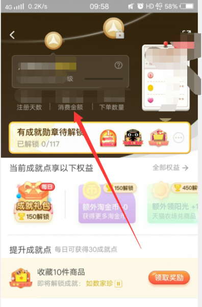 查看TB消费总额