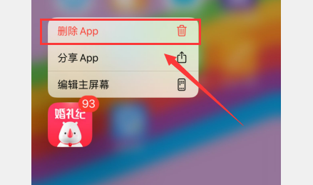 苹果13系统怎么删除软件