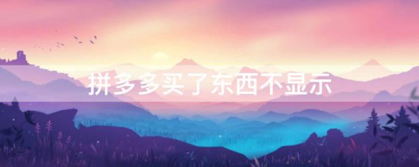 拼多多买了东西不显示
