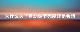 为什么关了自动调节亮度还是会暗 关闭自动亮度调节,手机还是变暗