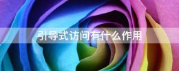 引导式访问有什么作用 引导式访问动作是什么意思