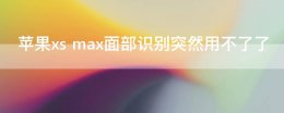 苹果xs max面部识别突然用不了了