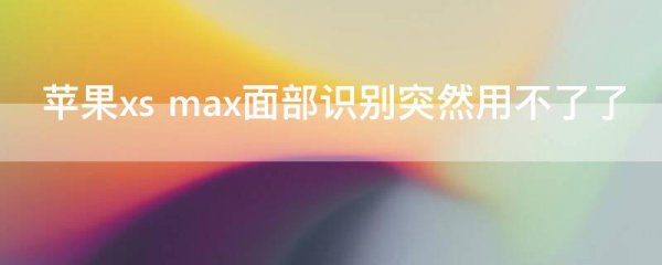 苹果xs max面部识别突然用不了了