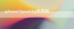iphone11pro64g够用吗