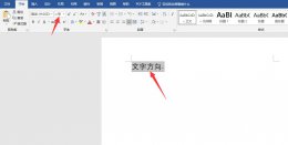 word怎么把文字改成竖向 如何将word竖排文字转为横向