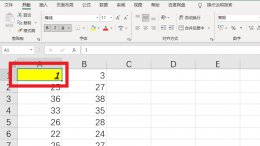 excel格式刷怎么用? excel格式刷怎么用不了