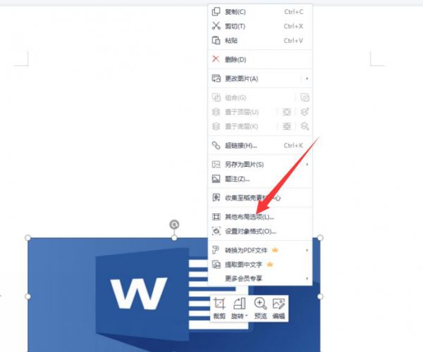 word图片缩放比例怎么设置 word怎么调整图片缩放比例