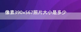 像素390×567照片大小是多少 像素390×567照片大小是多少厘米