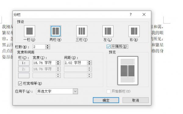 分隔线两栏怎么设置 分隔线等宽两栏怎么设置