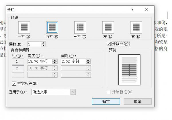 分隔线两栏怎么设置 分隔线等宽两栏怎么设置