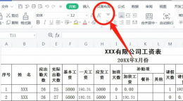 打印工资表时每行都有表头 工资表每一行有表头怎么打印