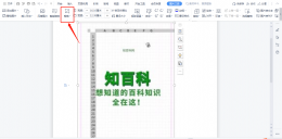 如何裁剪Word中的图片 在word中怎么裁剪图片