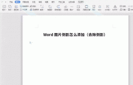 word图片倒影怎么做 Word图片倒影怎么添加