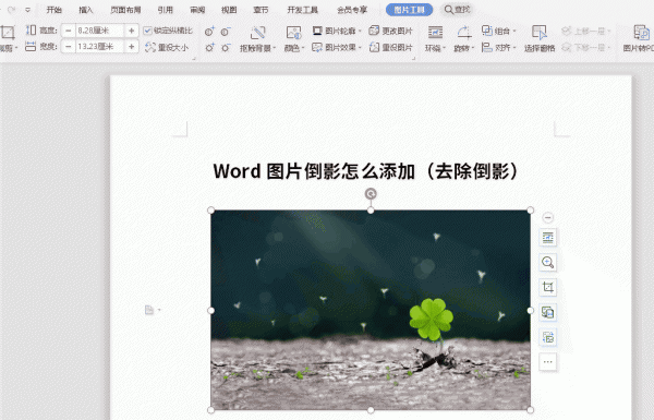 word图片倒影怎么做 Word图片倒影怎么添加