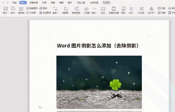 word图片倒影怎么做 Word图片倒影怎么添加