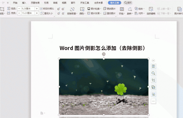 word图片倒影怎么做 Word图片倒影怎么添加