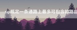 描述rip路由协议正确的是 rip规定一条通路上最多可包含的路由器数量是