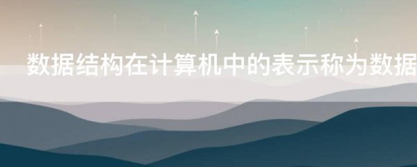 数据结构在计算机中的表示称为数据的