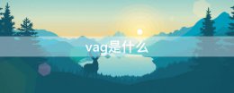 vag是什么 vag是什么车