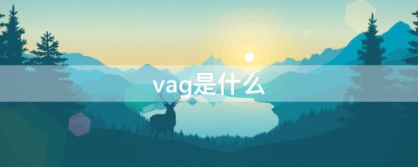 vag是什么