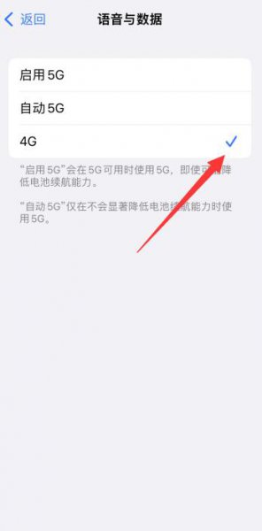 苹果12怎么改成5g 苹果13手机怎么把5g改成4g