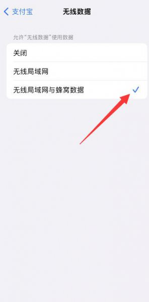 支付宝登不上怎么办 支付宝登不上怎么办忘记密码