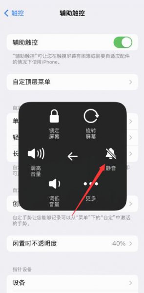 苹果手机侧边静音键没反应 苹果手机侧面静音键失灵怎么办
