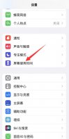 苹果有没有应用锁 苹果有没有应用锁的