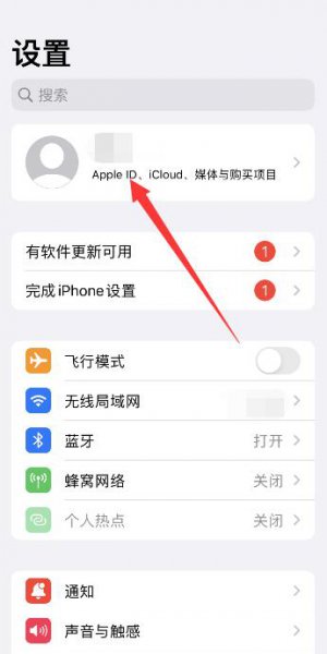 苹果13id怎么退出不了 苹果11id怎么退出不了