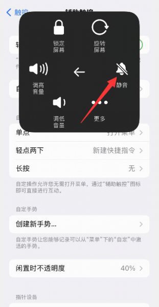 苹果手机微信拍照怎么关声音 苹果微信拍照怎么关掉快门声音