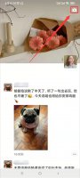 朋友圈设置仅一人可见对方知道吗 朋友圈设置仅某人可见,该人知道吗