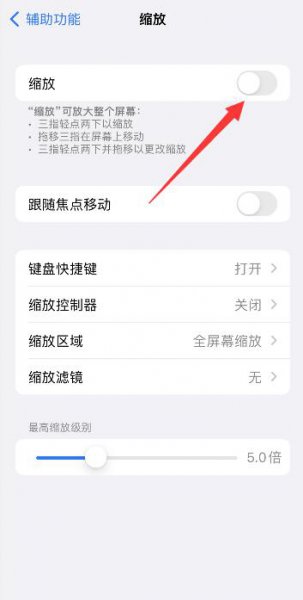 苹果13缩放功能怎么关闭 iphone12如何取消缩放