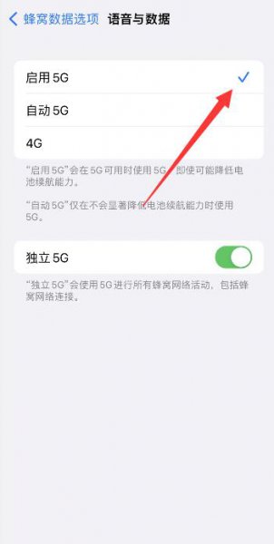 苹果12怎么显示4g不是5G 苹果13是5G怎么总显示4G呢