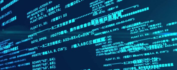 reg在程序里什么意思