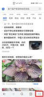 手机网页不能缩放怎么办 手机网页不能放大怎么办?
