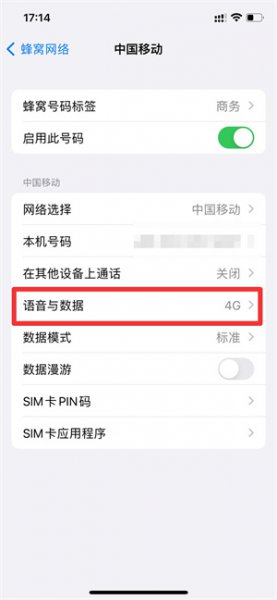 苹果13的5g开关在哪里
