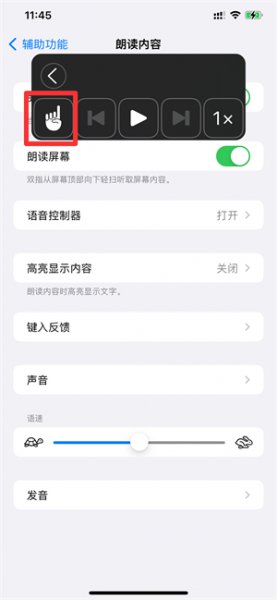 苹果手机朗读功能怎么用