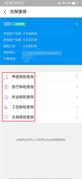 手机怎样查询社保缴费明细