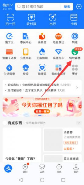 支付宝收能量提醒在哪里