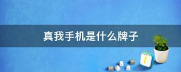 手机真我是什么牌子 真我是什么牌子的手机