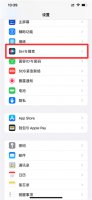 siri可以改名字吗 可以给自己的siri改名字么