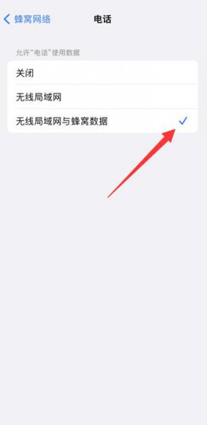 苹果12来电显示归属地怎么设置