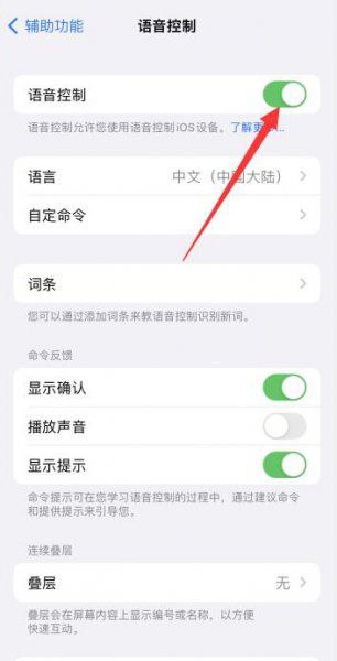 苹果手机语音控制怎么使用