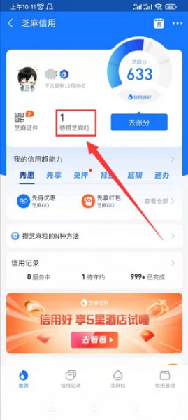 芝麻粒怎么获得