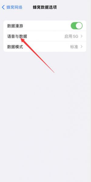 苹果5g设置在哪里